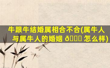 牛跟牛结婚属相合不合(属牛人与属牛人的婚姻 🐟 怎么样)